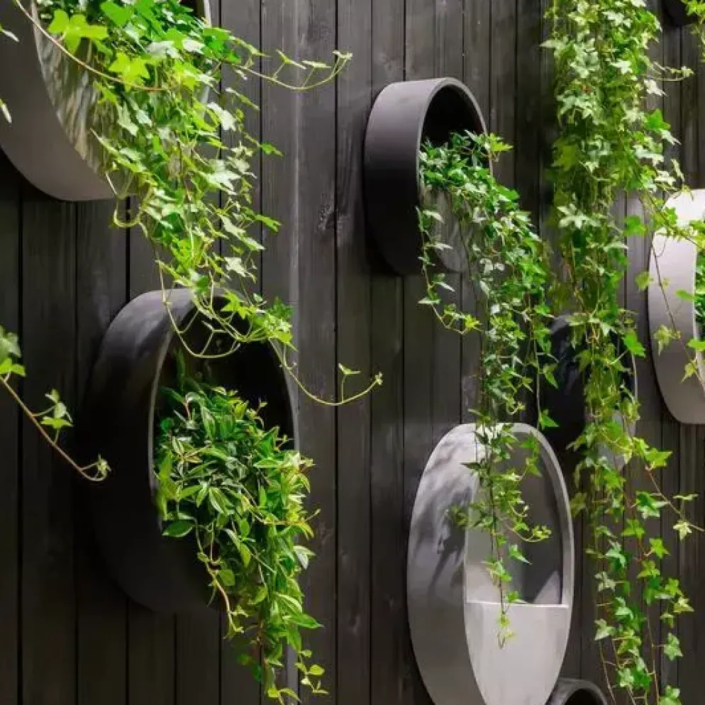 Pottery Pots muurpot wally hang xs 30x9cm black