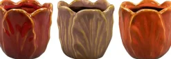 Pot tulip kleur d8 h8