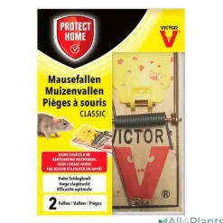 Protect Home Muizenval Hout - Ongediertebestrijding - 2 stuks