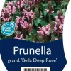 Prunella grandiflora 'Bella Deep Rose' (Grote Brunel)