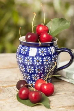Prunus cerasus 'Morel' (Kers) fruitplant 230cm