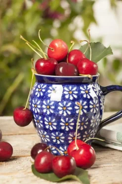 Prunus cerasus 'Morel' (Kers) fruitplant 230cm