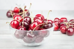Prunus cerasus 'Morel' (Kers) fruitplant 230cm