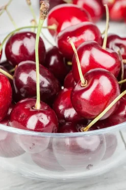 Prunus cerasus 'Morel' (Kers) fruitplant 230cm