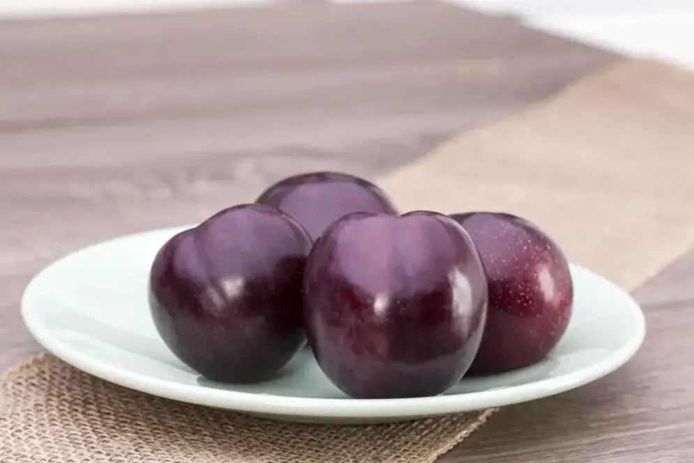 Prunus domestica 'Opal' (Pruim) fruitplant 230cm