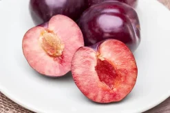 Prunus domestica 'Victoria' (Pruim) fruitplant 230cm