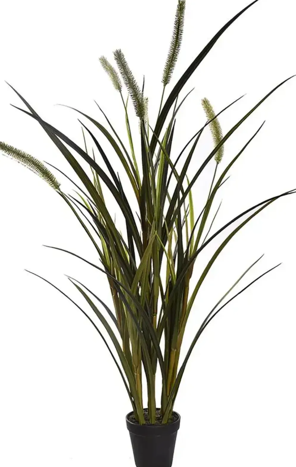 Pure Royal gras 86cm groen