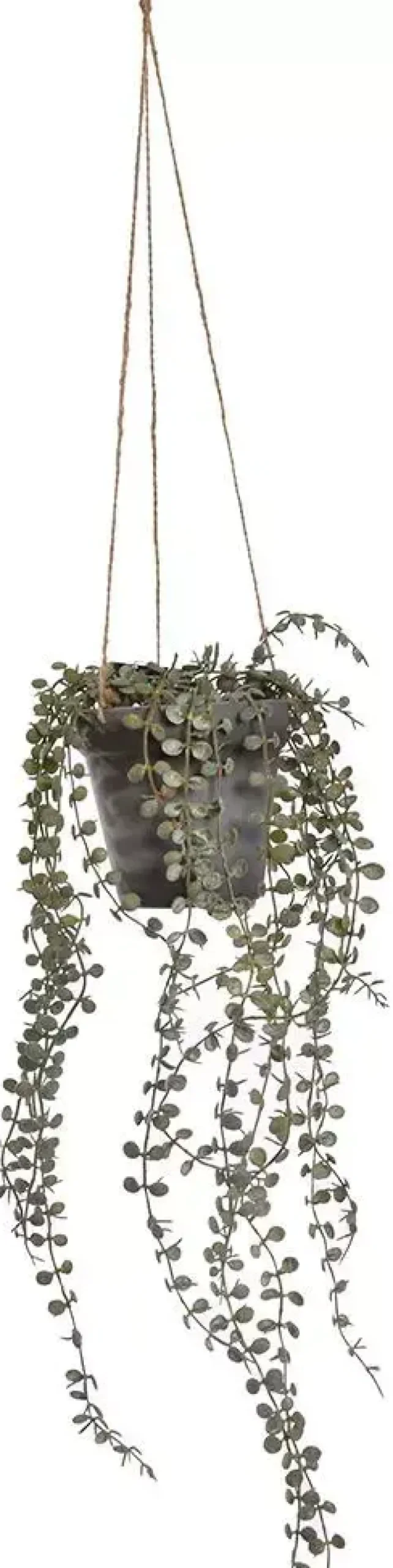 Pure Royal kunst hangplant blad 45cm groen