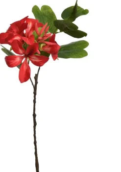 Pure Royal kunsttak bauhinia 60cm rood
