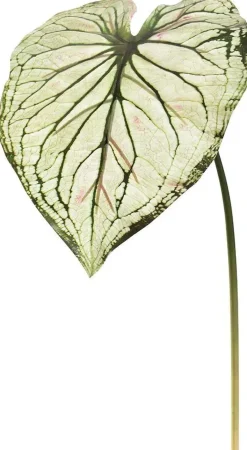 Pure Royal kunsttak caladium 113cm licht groen