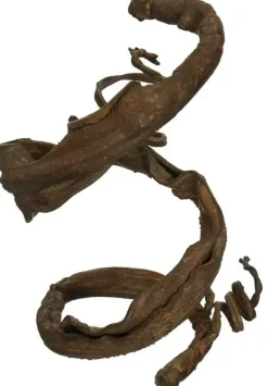 Pure Royal kunsttak 120cm bruin