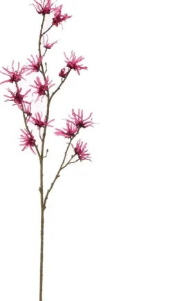 Pure Royal kunsttak hamamelis 98cm beauty