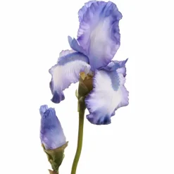 Pure Royal kunsttak iris 80cm blauw