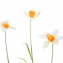Pure Royal kunsttak narcis 70cm wit