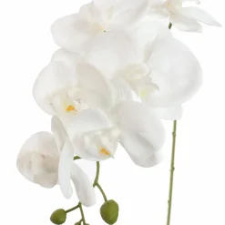Pure Royal kunsttak phalaenopsis 85cm wit
