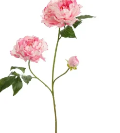 Pure Royal kunsttak pioenroos 80cm crème roze