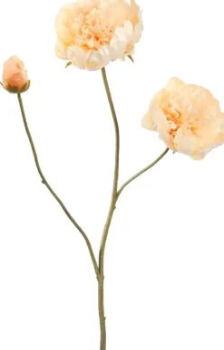 Pure Royal kunsttak pioenroos 64cm vanille