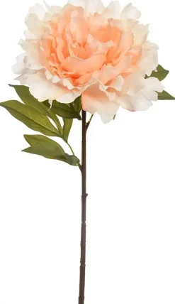 Pure Royal kunsttak pioenroos 69cm vanille