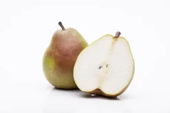 Pyrus communis 'Doyenné du Comice' (Peer) fruitplant 160cm