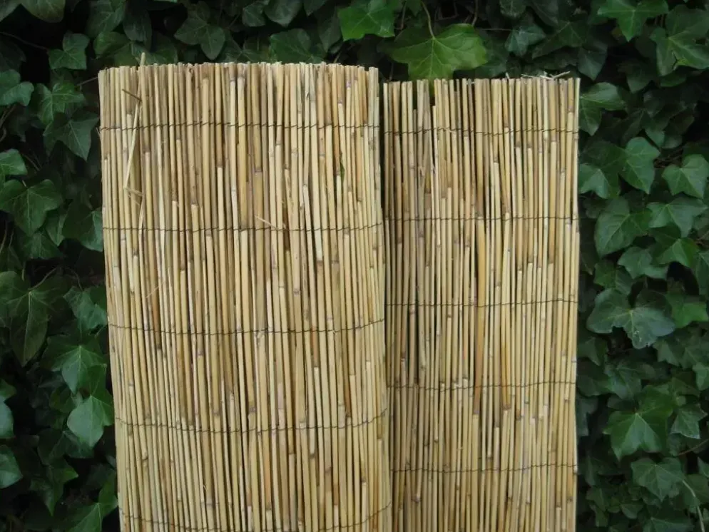 Rieten Tonkinmat 150x ±500 cm