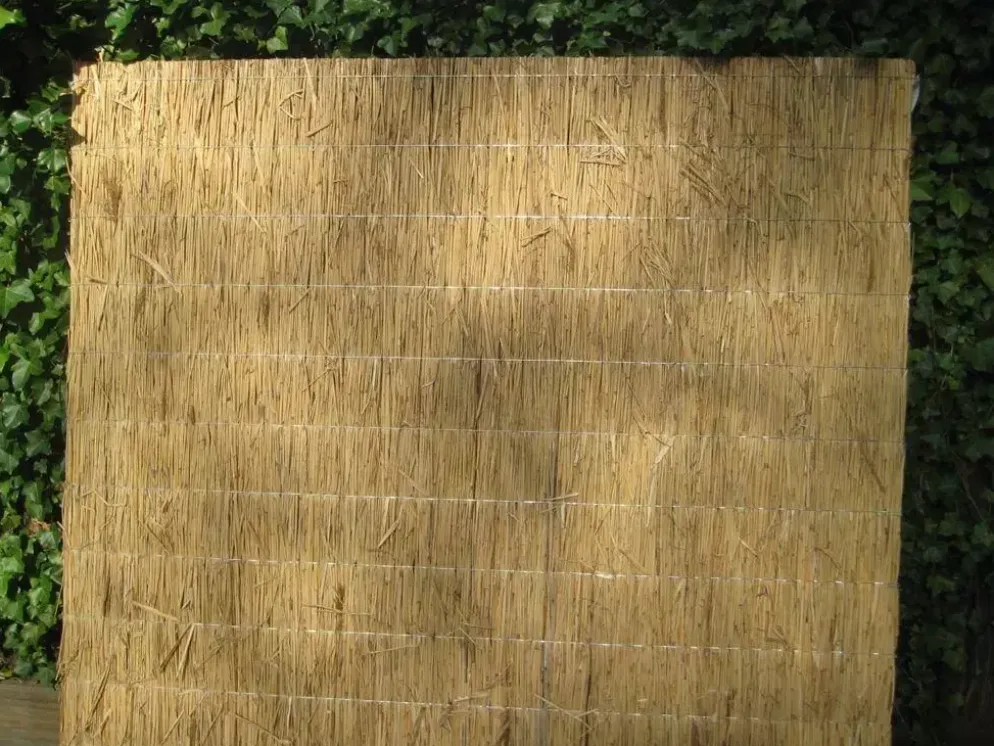 Rietplaat nagy 200x200 cm
