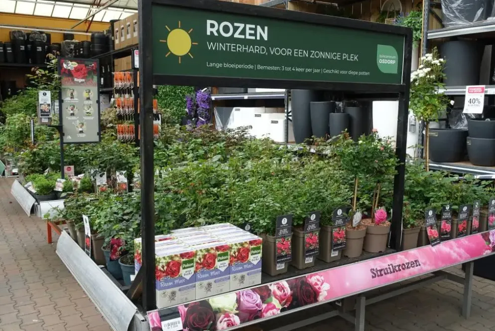 Rosa 'Coco'® (Roos 'Coco')