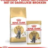 Royal Canin British Shorthair Adult kattenvoer 2kg