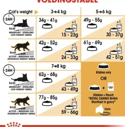 Royal Canin British Shorthair Adult kattenvoer 2kg
