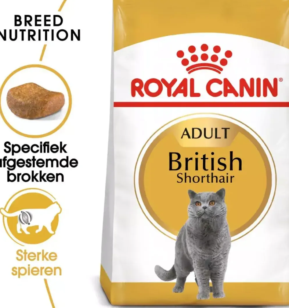 Royal Canin British Shorthair Adult kattenvoer 2kg