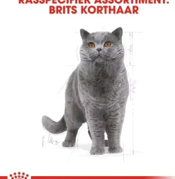 Royal Canin British Shorthair Adult kattenvoer 2kg