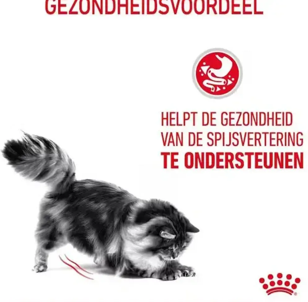 Royal Canin Digestive Care kattenvoer 2kg