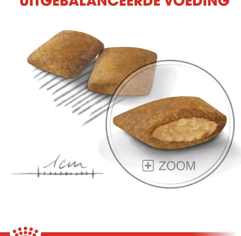 Royal Canin Exigent Mini 3kg