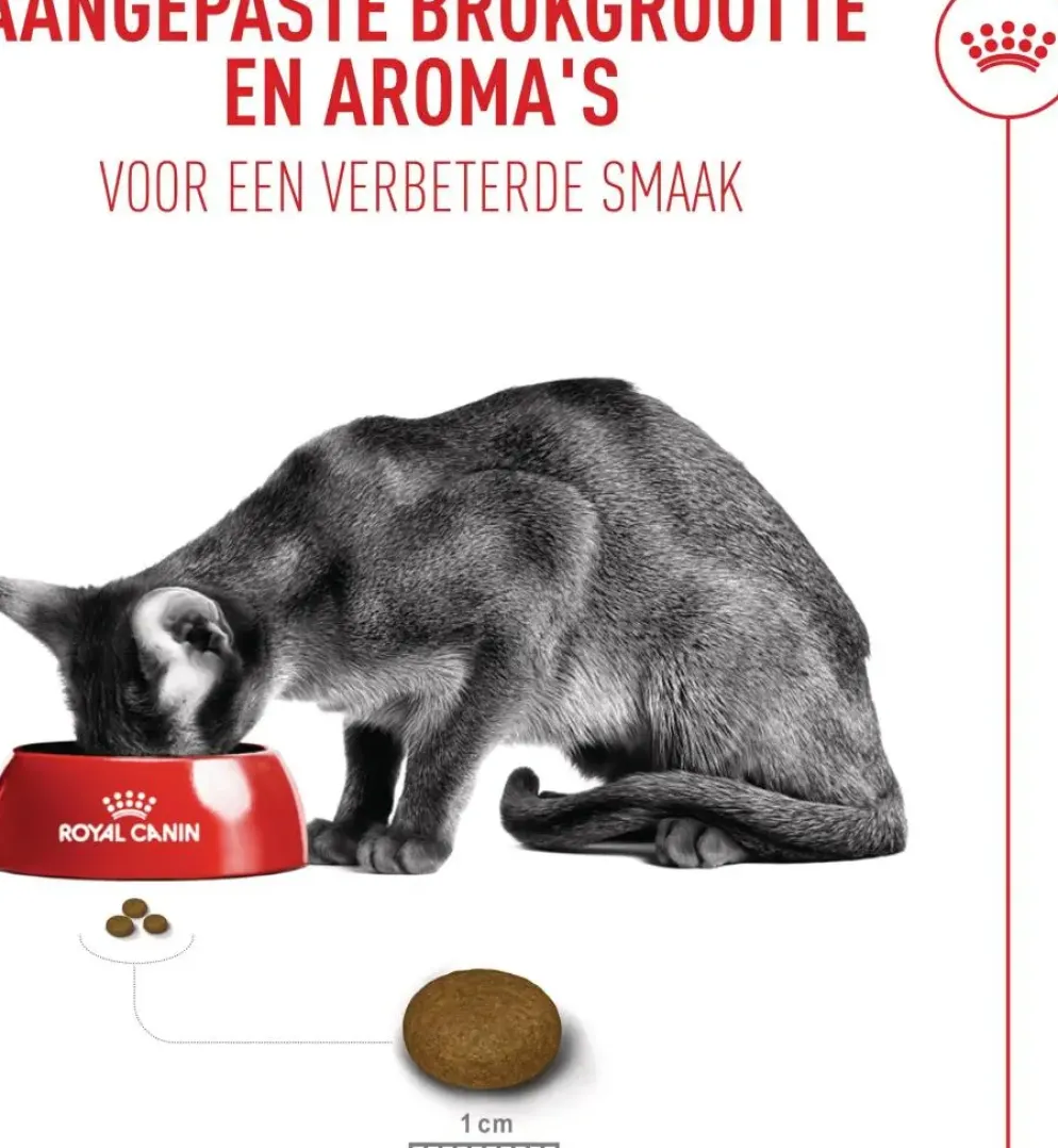 Royal Canin Fussy Exigent 10kg