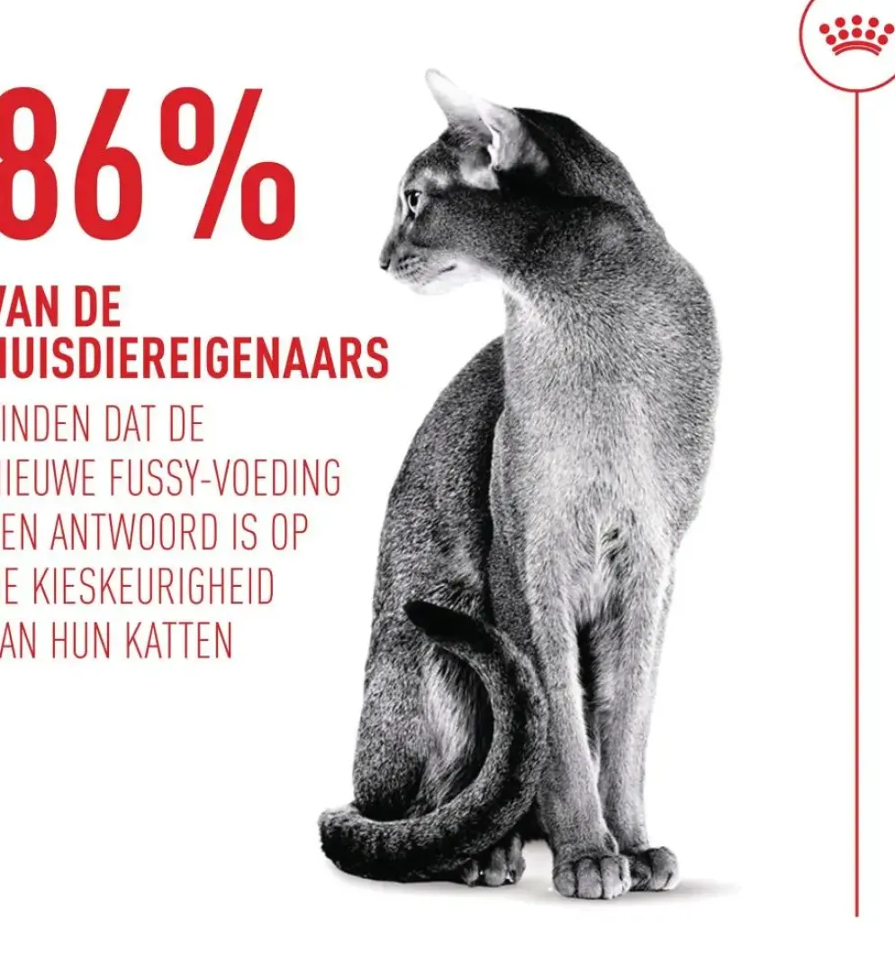 Royal Canin Fussy Exigent 10kg