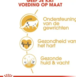 Royal Canin Maine Coone Adult kattenvoer 2kg