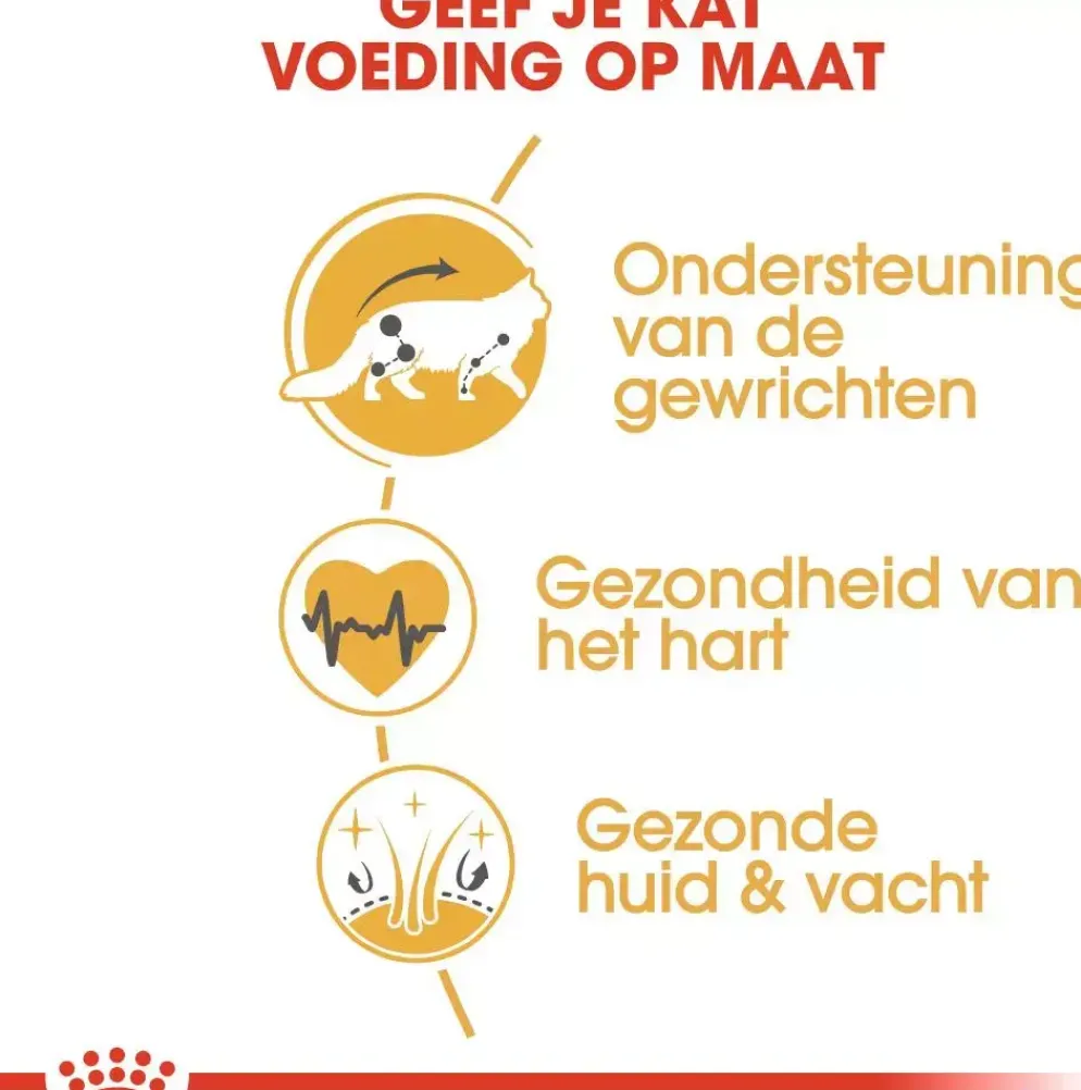 Royal Canin Maine Coone Adult kattenvoer 2kg