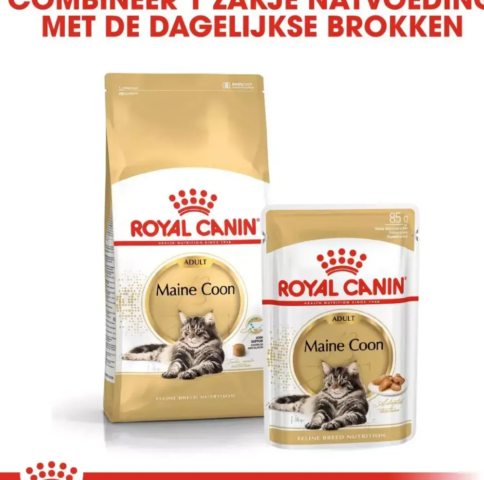 Royal Canin Maine Coone Adult kattenvoer 2kg