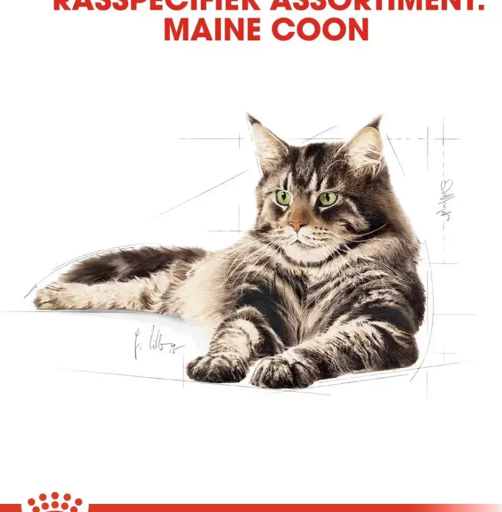 Royal Canin Maine Coone Adult kattenvoer 2kg
