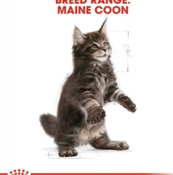 Royal Canin Maine Coone kittenvoer 2kg