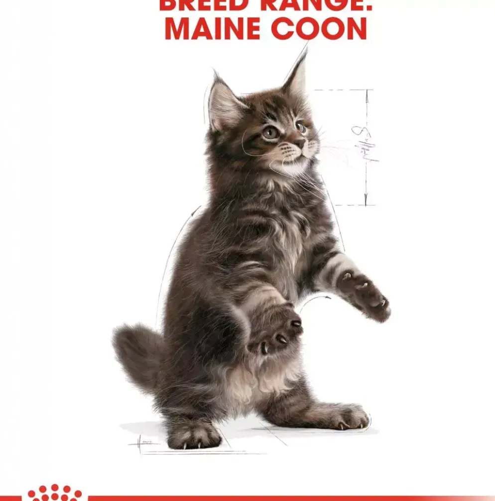 Royal Canin Maine Coone kittenvoer 2kg