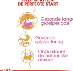 Royal Canin Maine Coone kittenvoer 2kg