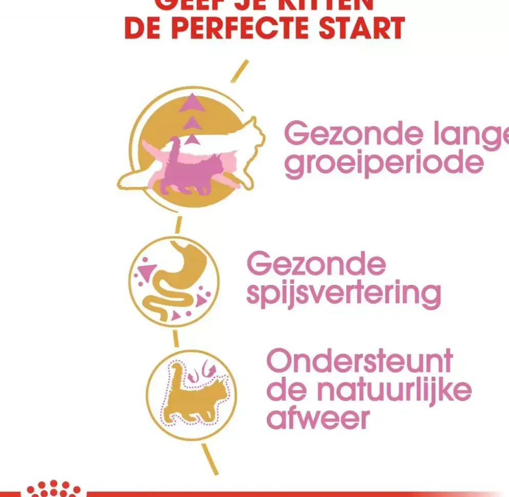 Royal Canin Maine Coone kittenvoer 2kg