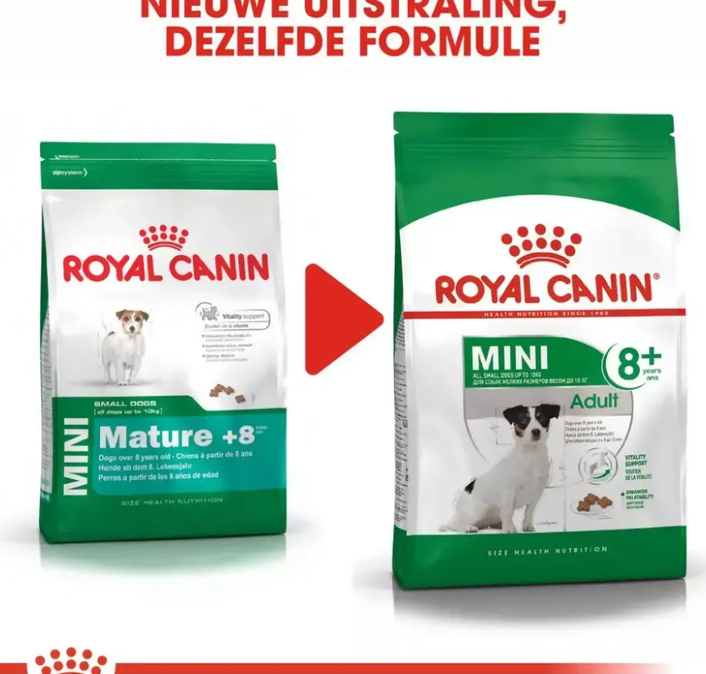 Royal Canin Mini Adult 8+ jaar 4kg
