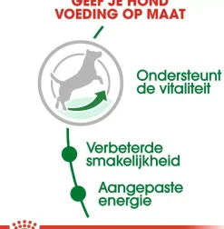Royal Canin Mini Adult 8+ jaar 4kg