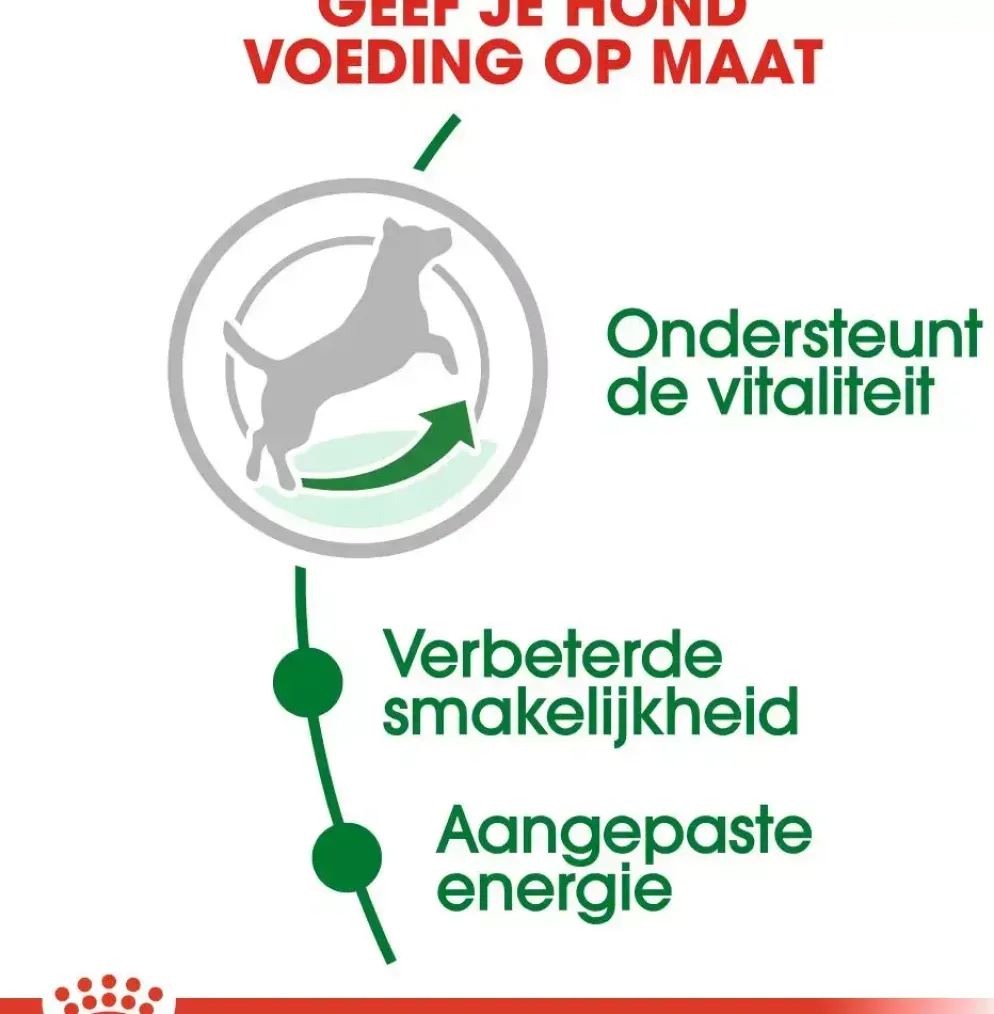 Royal Canin Mini Adult 8+ jaar 4kg