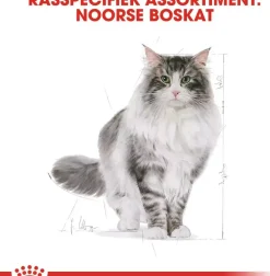 Royal Canin Norwegian Forest Cat Adult kattenvoer 2kg