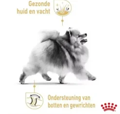 Royal Canin Pomeranian Adult 1,5kg