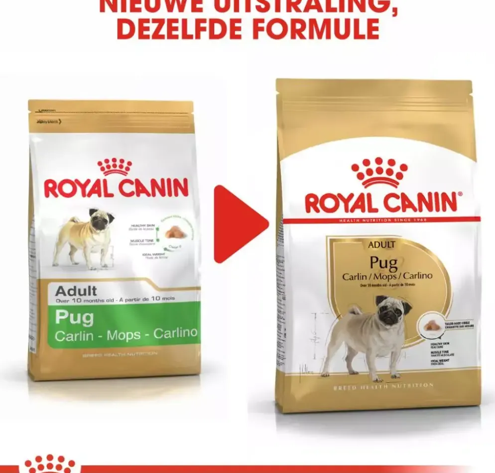Royal Canin Pug Adult 1,5kg