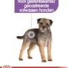 Royal Canin Sterilised Mini 3kg