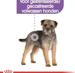 Royal Canin Sterilised Mini 3kg